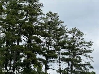 Photo of 8 Read Drive