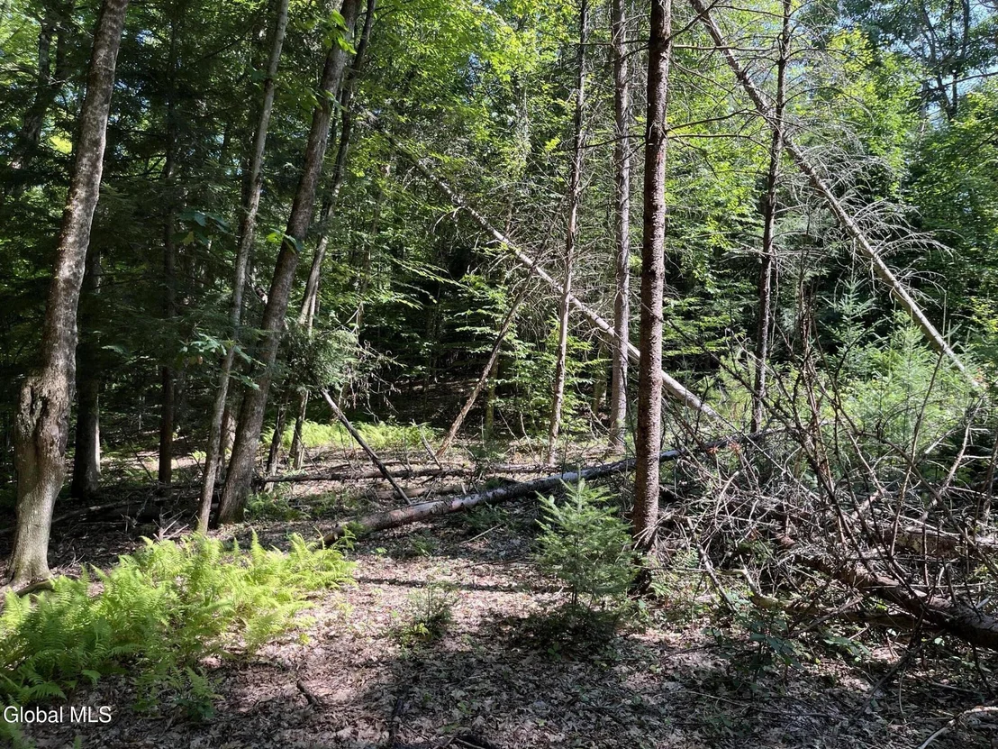 Photo of 5260 Hudson Road