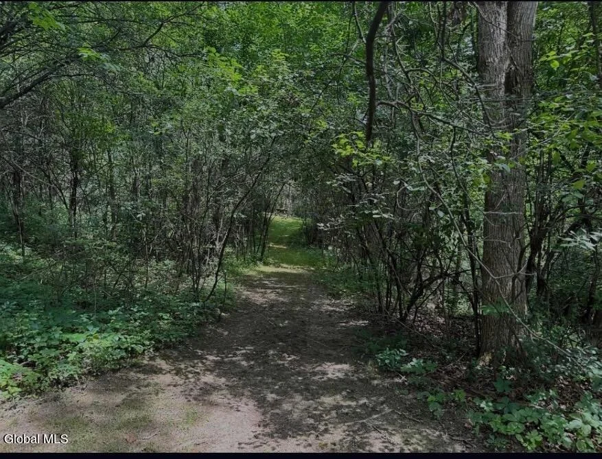 Photo of 21 Rip Van Winkle Drive