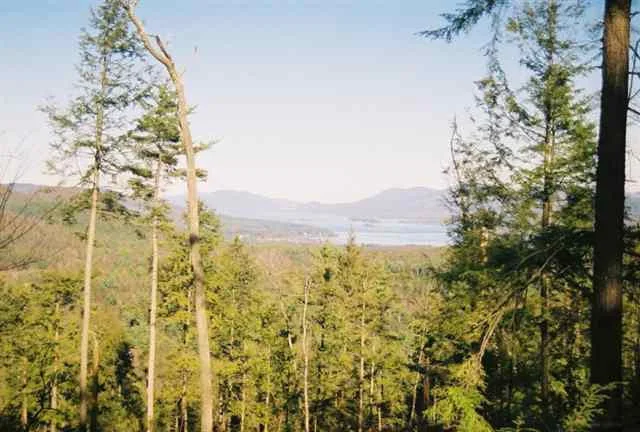 Photo of 0 ROUTE 9N