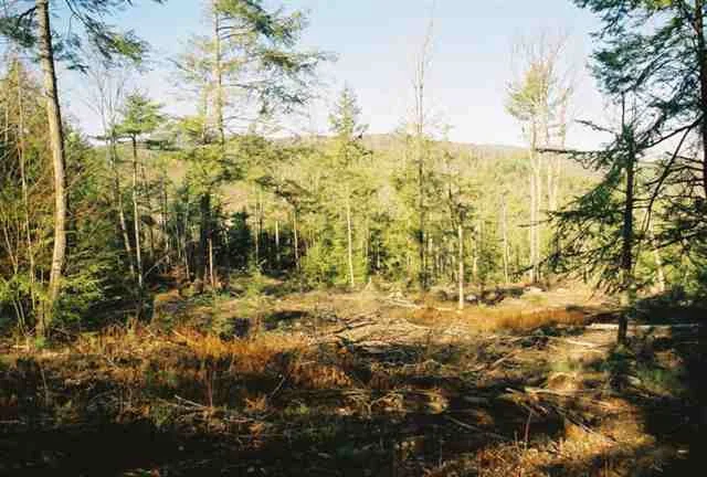 Photo of 0 ROUTE 9N