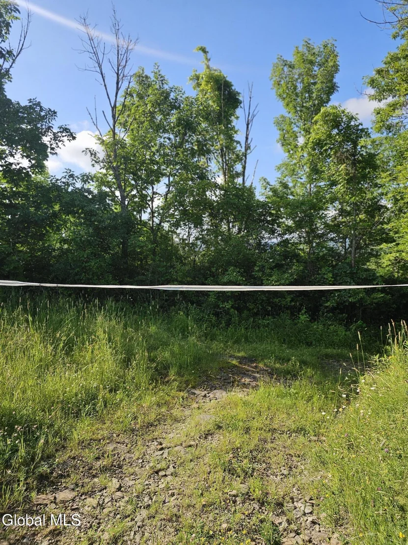 Photo of L-11 Earls Road
