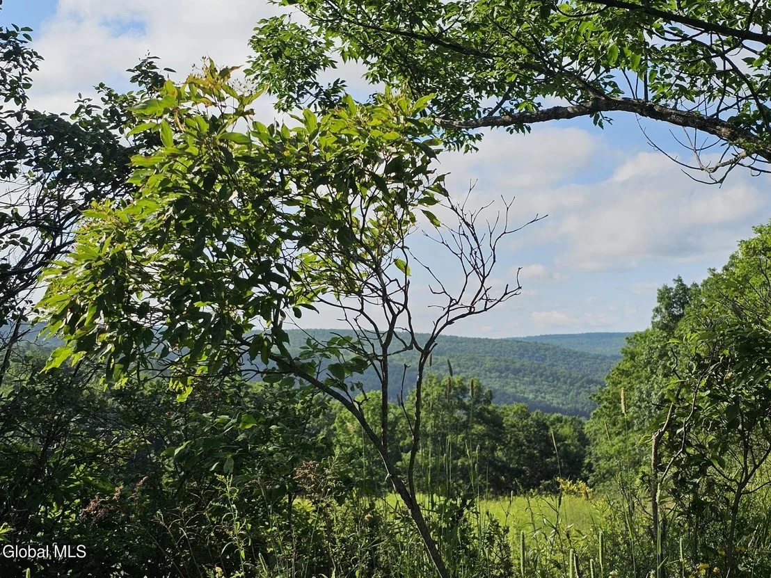 Photo of L-11 Earls Road