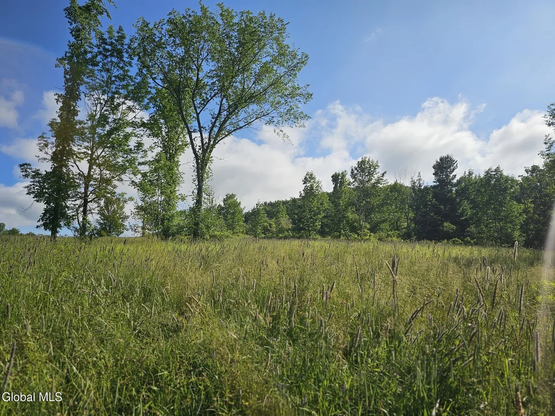 Photo of L-11 Earls Road