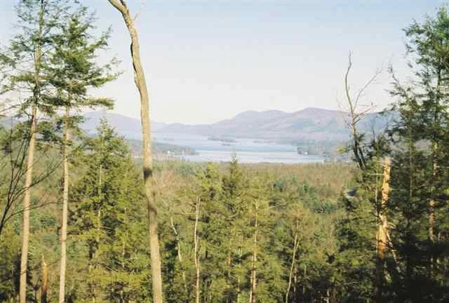 Photo of 0 ROUTE 9N