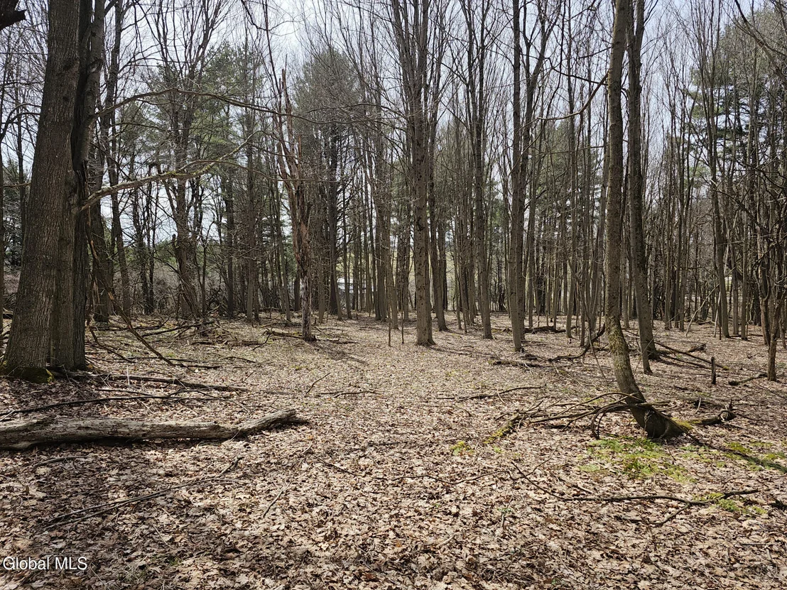 Photo of 290 Griggs
