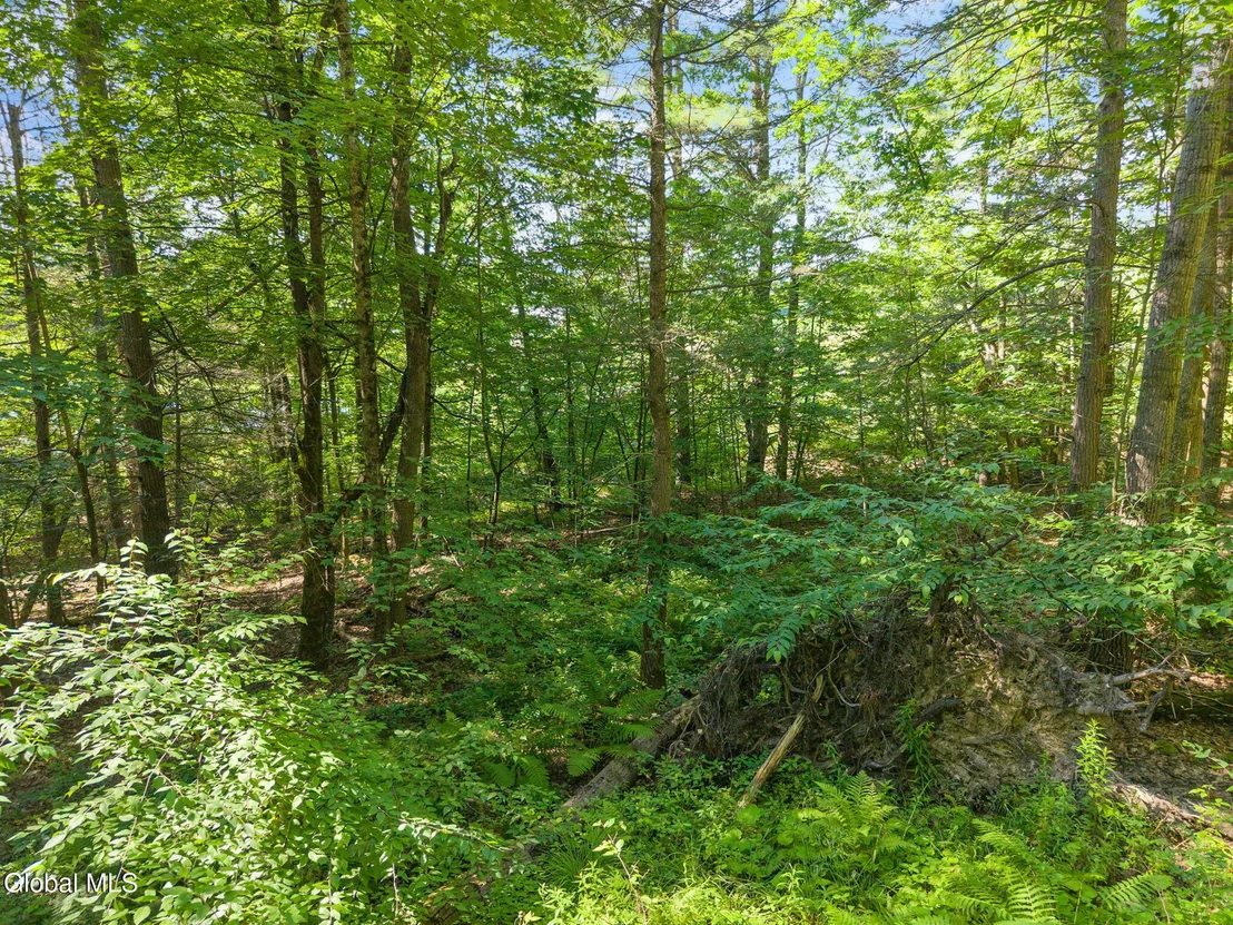 Photo of 253 Armlin Hill Road