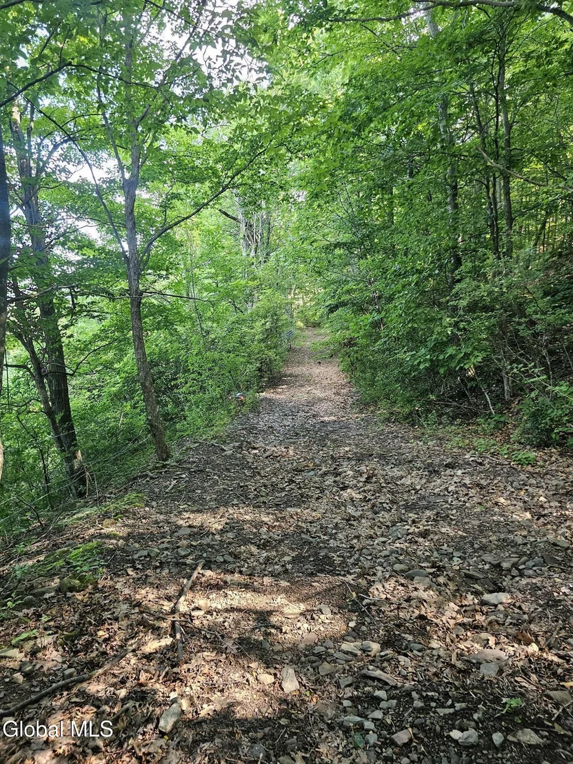 Photo of L-11 Earls Road