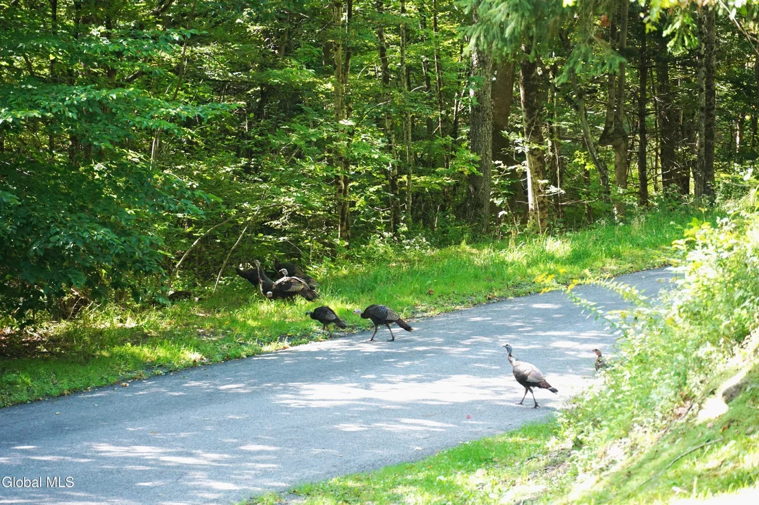 Photo of 289 County Route 4