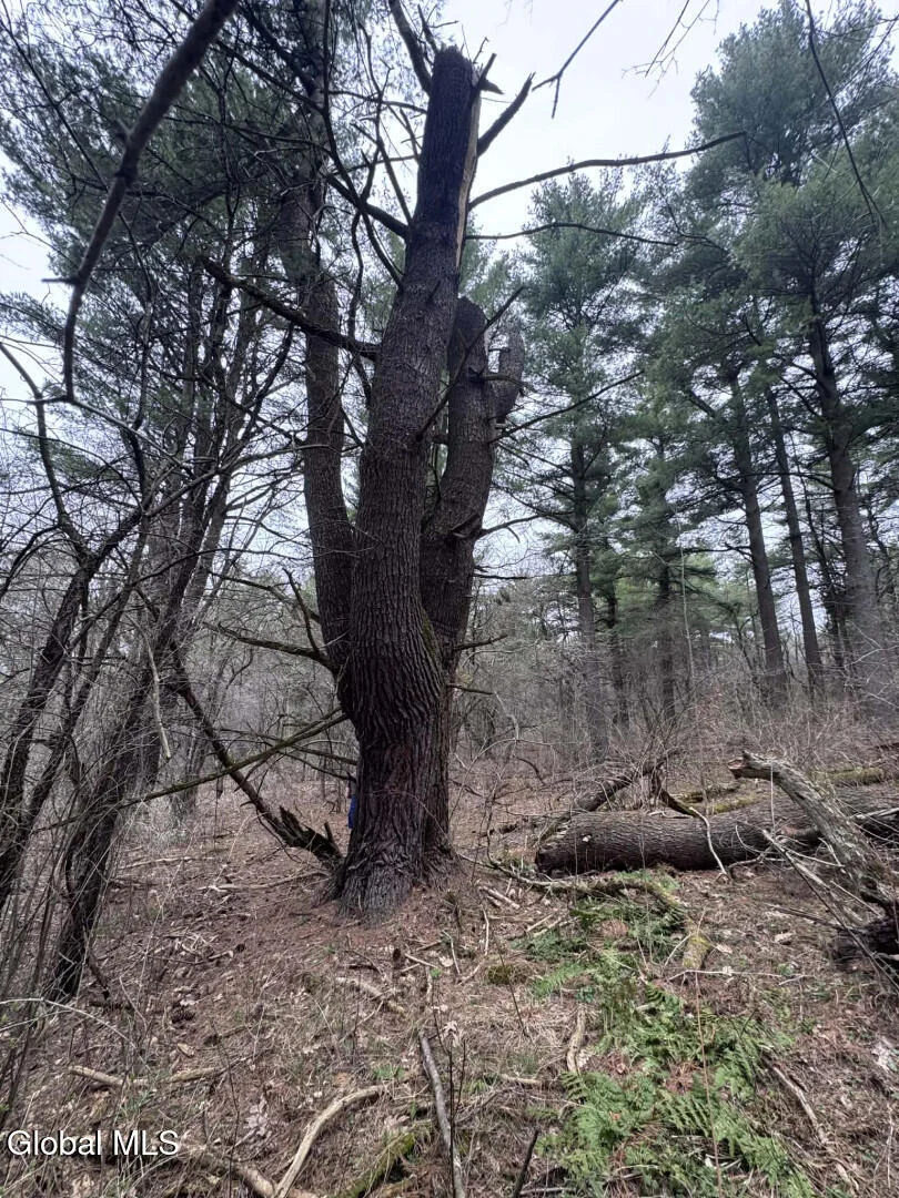 Photo of 290 Griggs