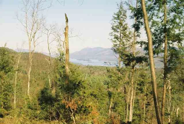 Photo of 0 ROUTE 9N