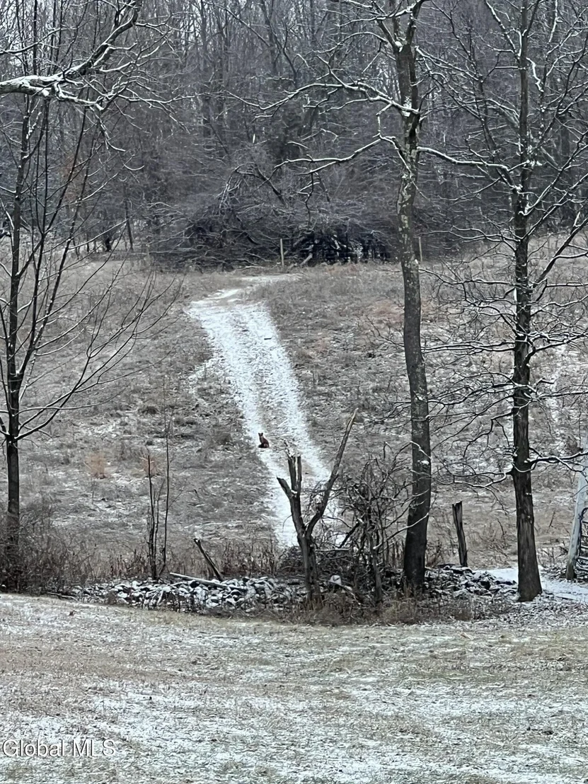 Photo of 31 Safford Road