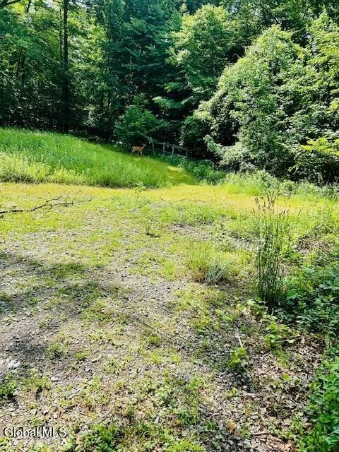 Photo of 2600 Rosendale Road