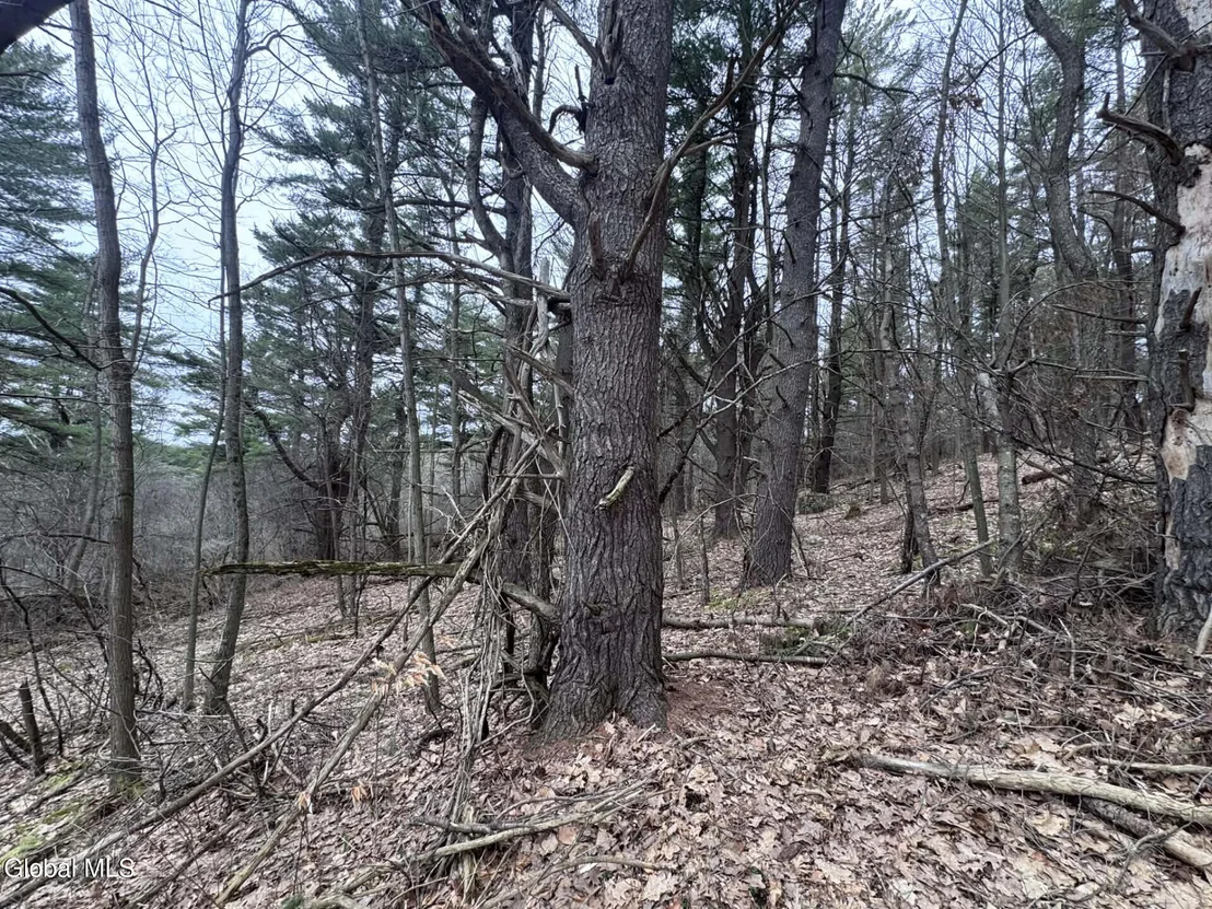 Photo of 290 Griggs