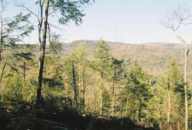Photo of 0 ROUTE 9N