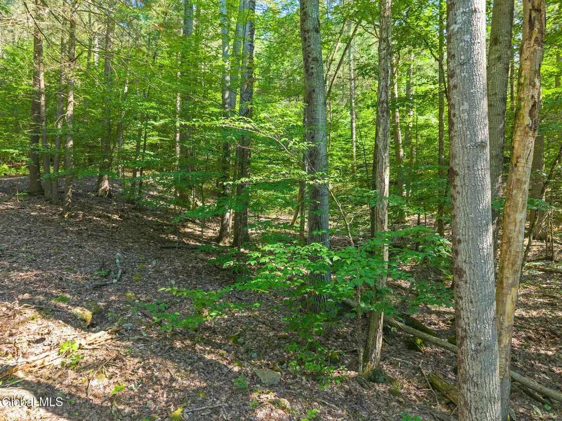 Photo of 253 Armlin Hill Road
