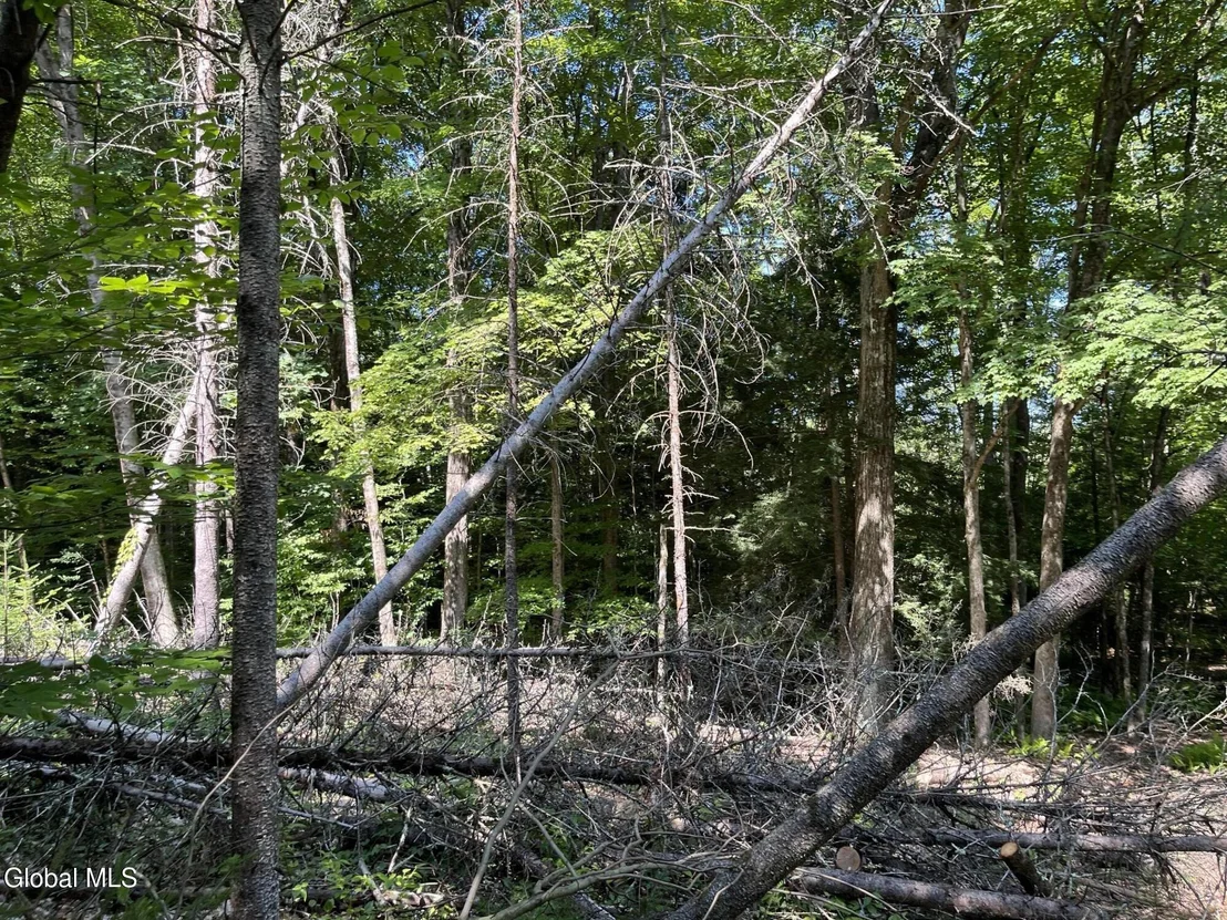 Photo of 5260 Hudson Road