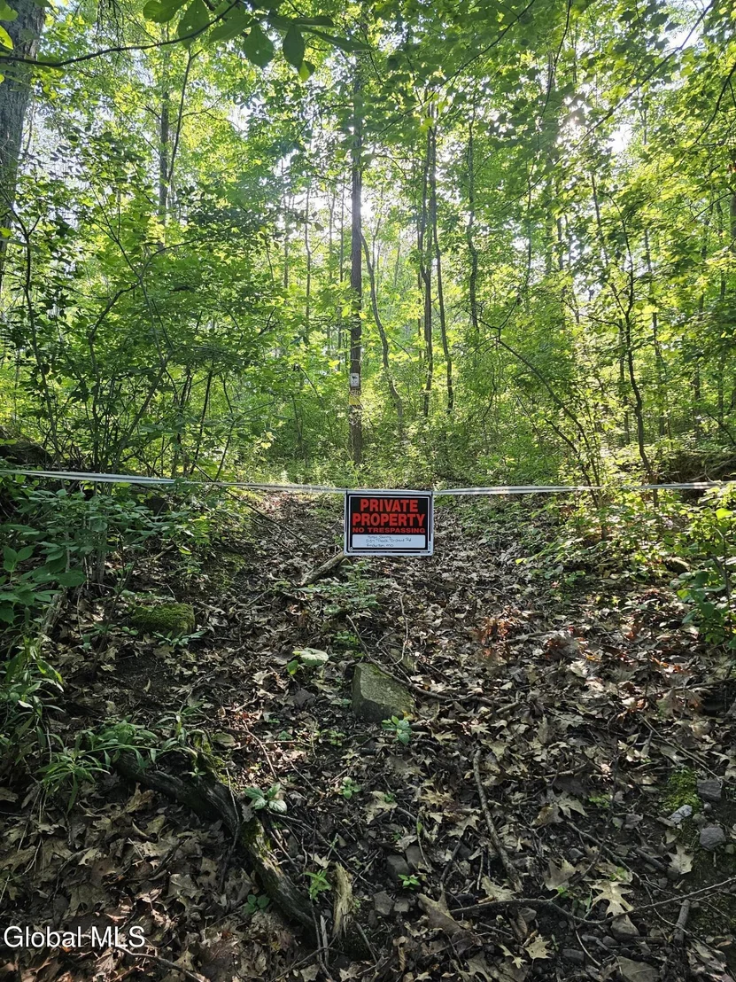 Photo of L-11 Earls Road