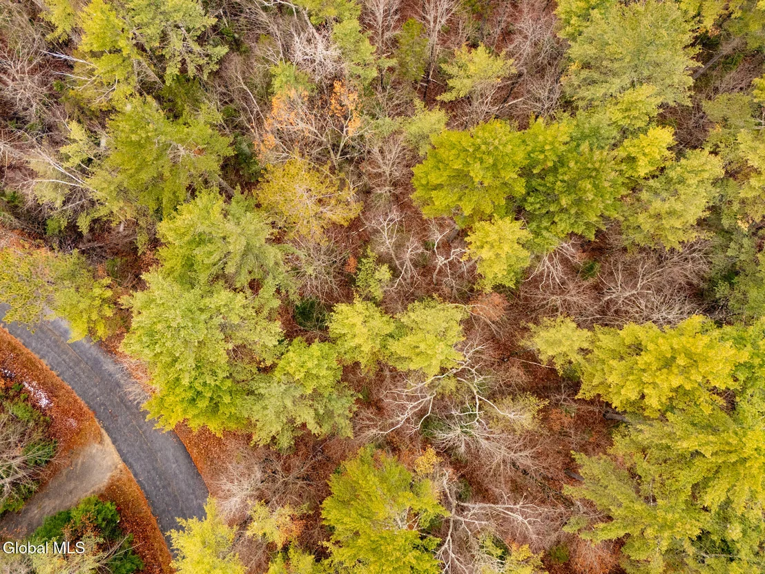 Photo of 206 Mountain Path