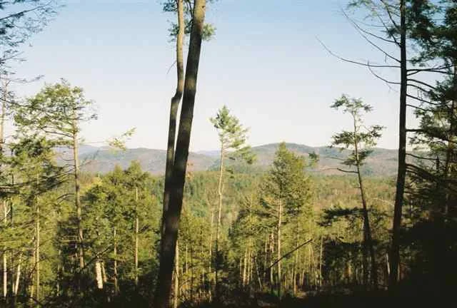 Photo of 0 ROUTE 9N