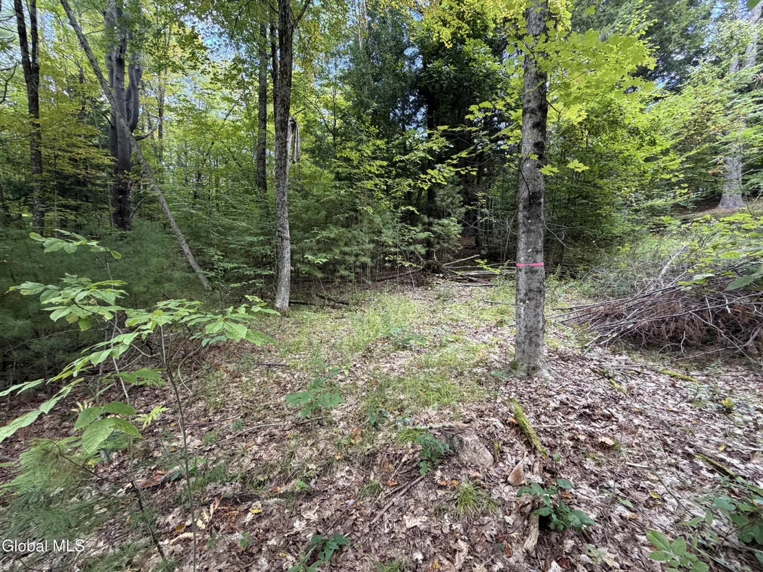 Photo of 1542 Co Rd 21