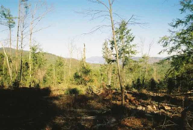 Photo of 0 ROUTE 9N