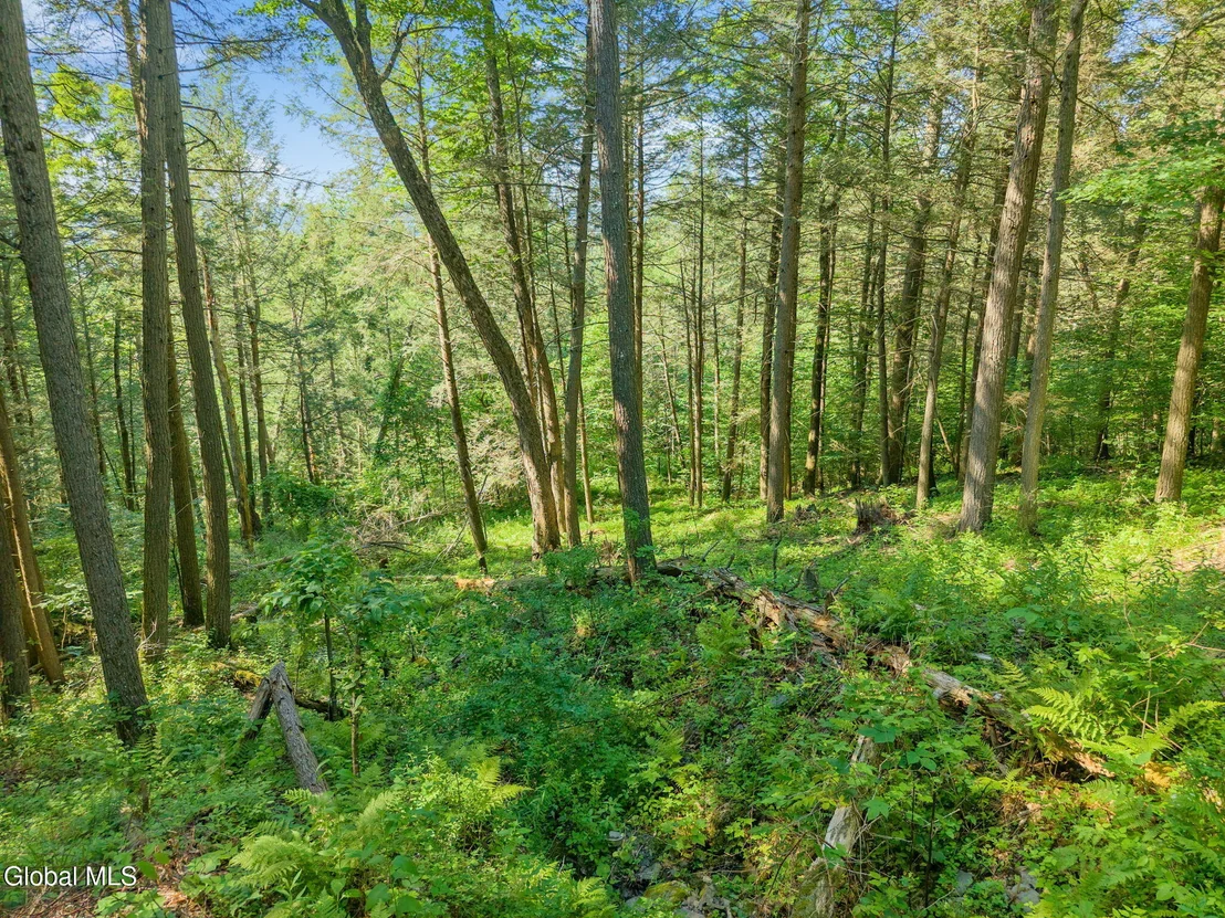 Photo of 253 Armlin Hill Road