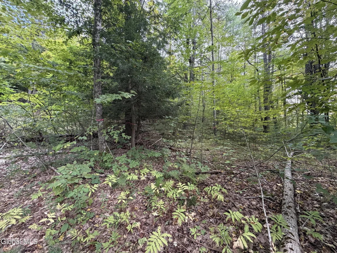 Photo of 1542 Co Rd 21