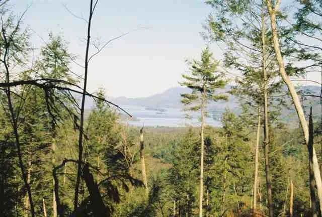 Photo of 0 ROUTE 9N