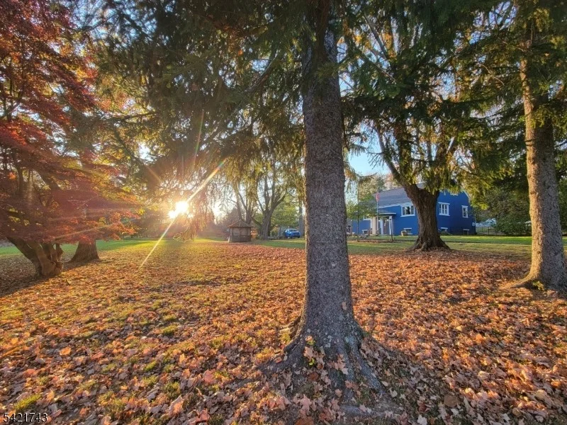Photo of 246 Spring Hill Rd