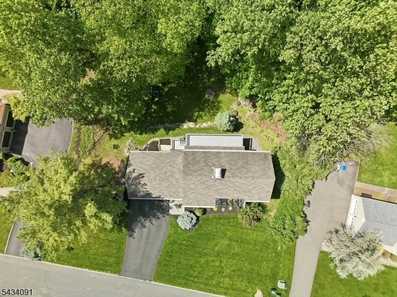 Photo of 35 Mockingbird
