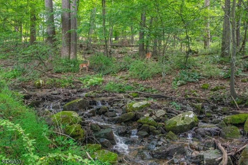 Photo of 42 Scenic Dr