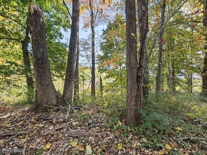 Photo of 0 Pine Drive