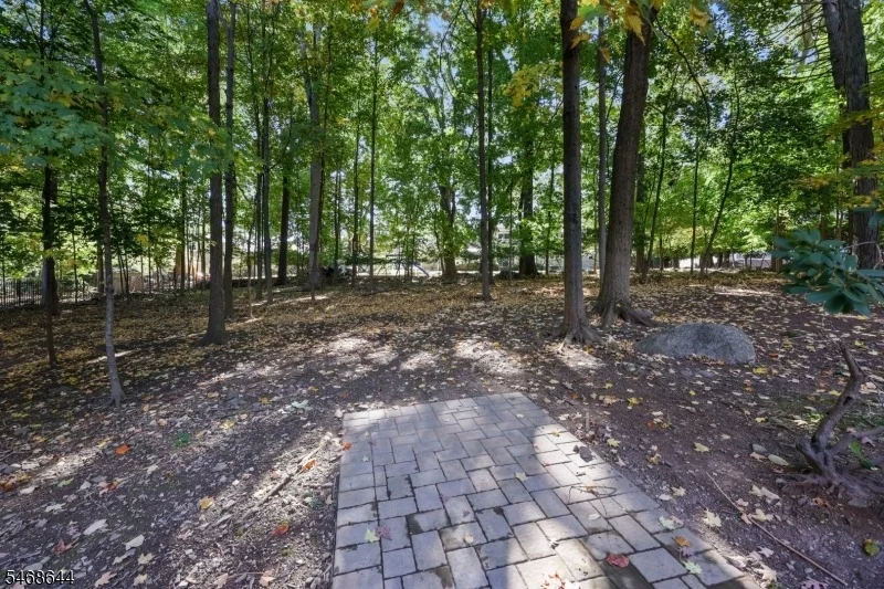 Photo of 11 Colona Rd