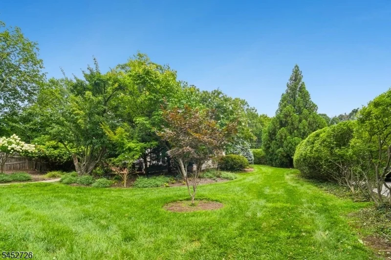 Photo of 420 Up Mountain Avenue