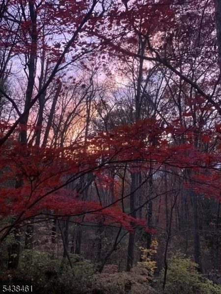 Photo of 4 Pine Tree Ln