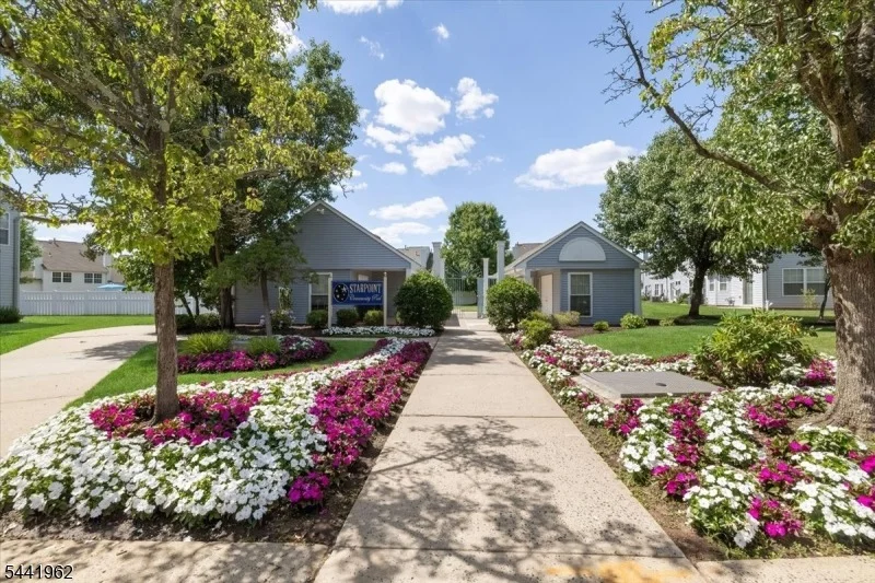 Photo of 286 Nebula Rd