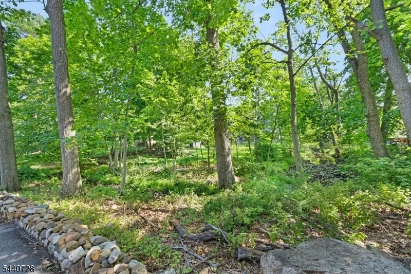Photo of 34 Orchard Sq