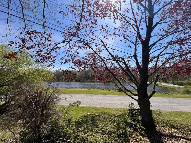 Photo of 900 Primrose Path