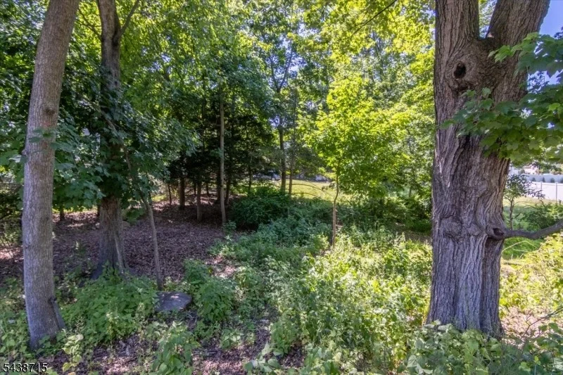 Photo of 234 Ridge Rd