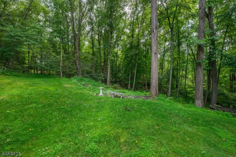 Photo of 42 Scenic Dr