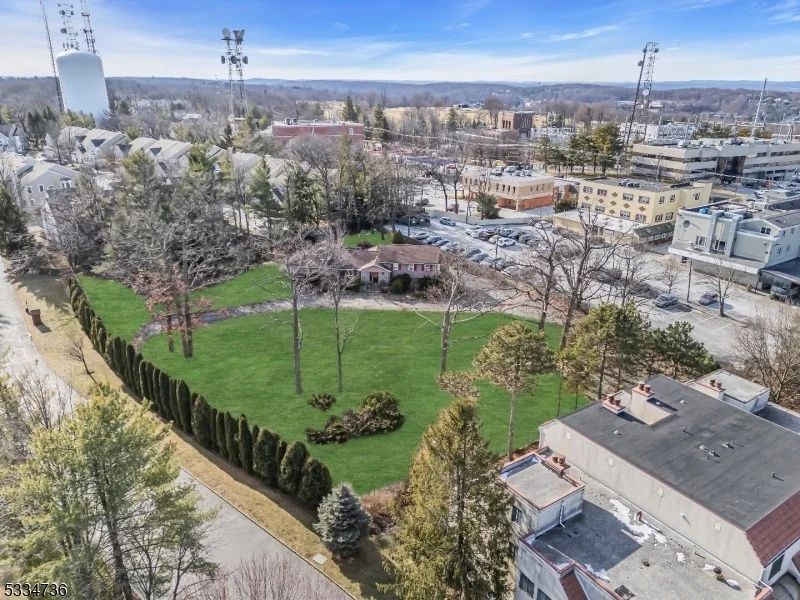 Photo of 1 Blueberry Bend