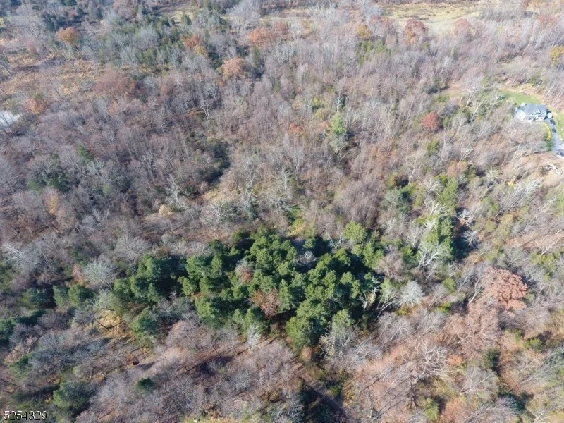 Photo of 2 Davon Ln