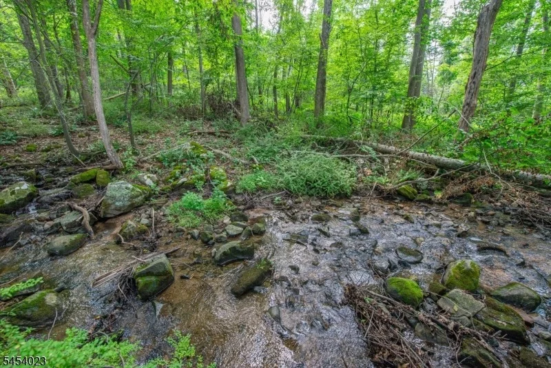 Photo of 42 Scenic Dr