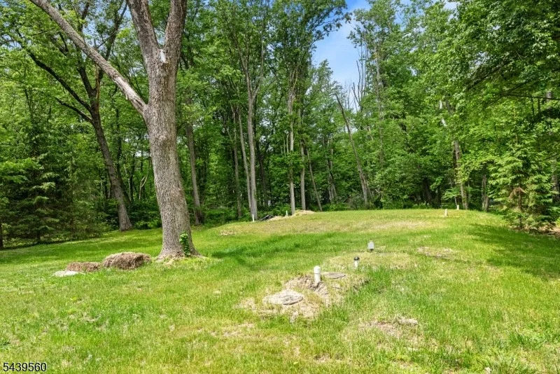 Photo of 20 Cooper Ln