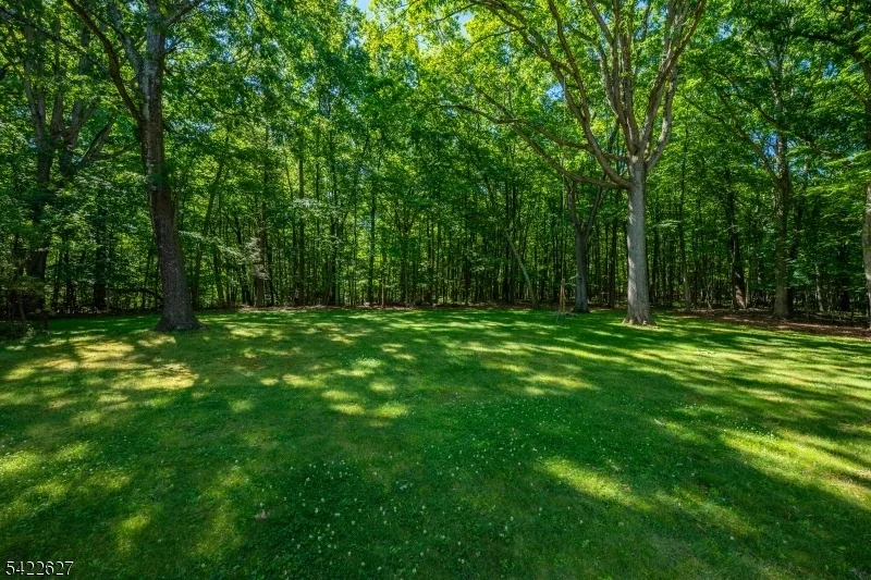 Photo of 207 Deerlea Ln