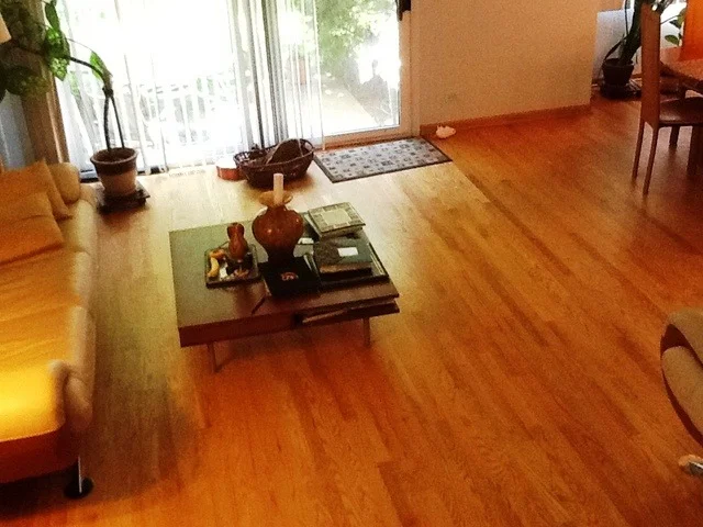 Photo of 416 Swallow Lane