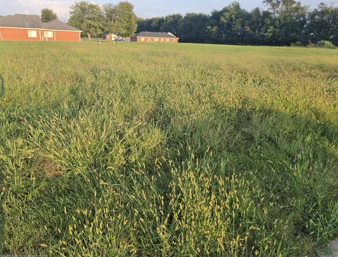 Photo of Lot 28 Memory Lane