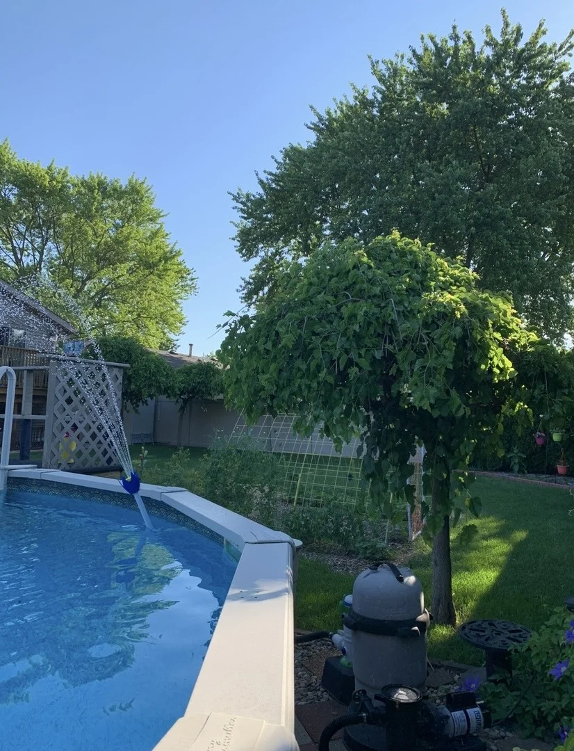 Photo of 856 Quail Drive