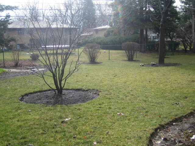 Photo of 109 Stevenson Lane